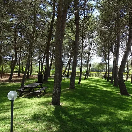 Sole Del Mediterraneo