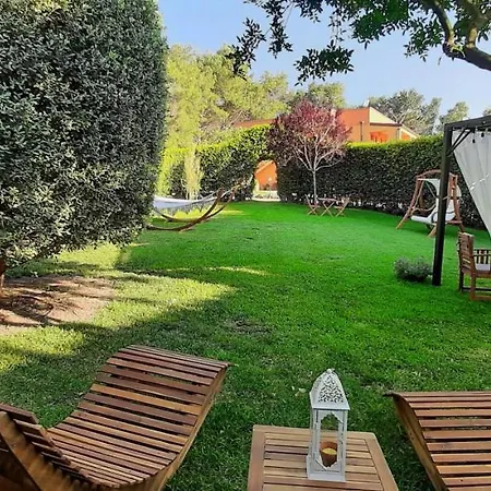 Sole Del Mediterraneo *