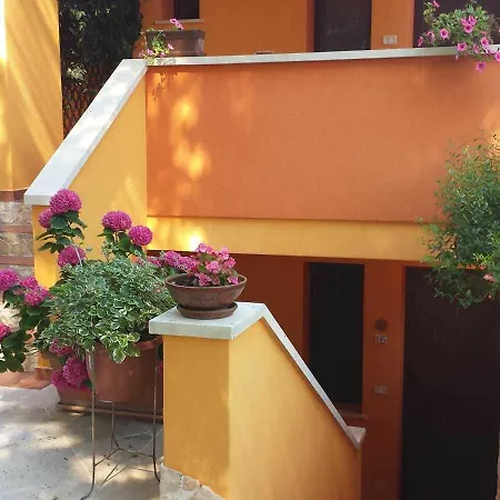 Sole Del Mediterraneo