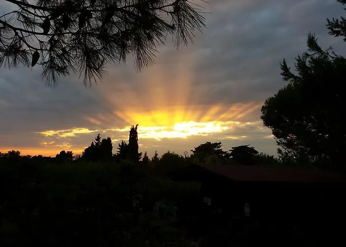 Sole Del Mediterraneo