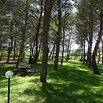 Sole Del Mediterraneo