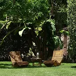 Sole Del Mediterraneo Farma
