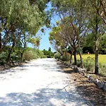Sole Del Mediterraneo *