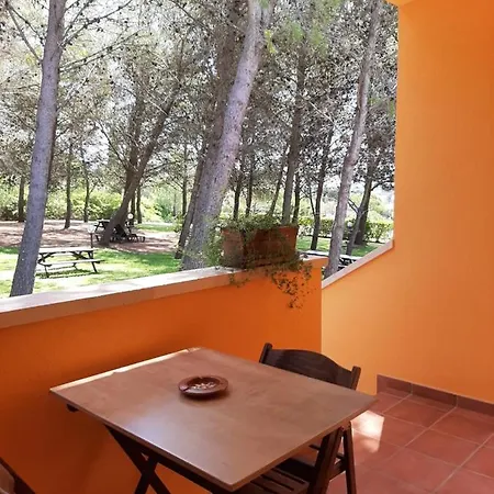 Sole Del Mediterraneo