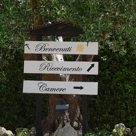 Sole Del Mediterraneo