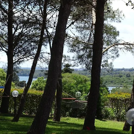 Sole Del Mediterraneo