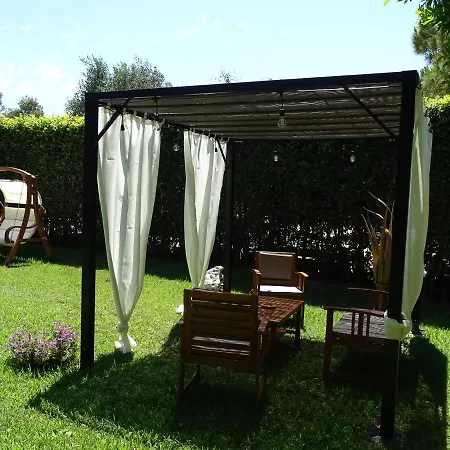 Sole Del Mediterraneo *