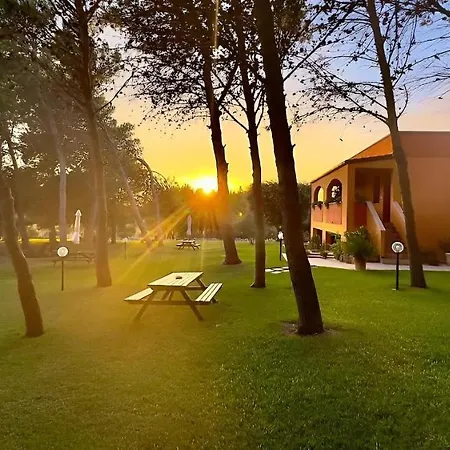 Sole Del Mediterraneo *