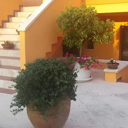 Sole Del Mediterraneo *