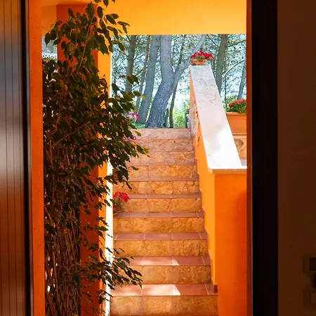 ファームステイ Sole Del Mediterraneo *