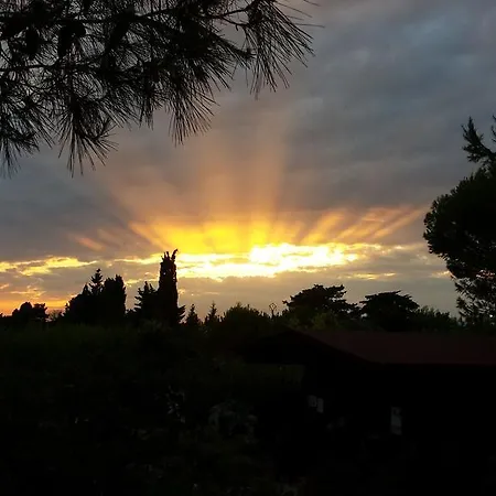 Sole Del Mediterraneo