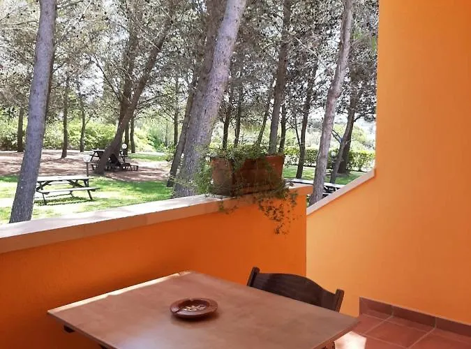 Sole Del Mediterraneo