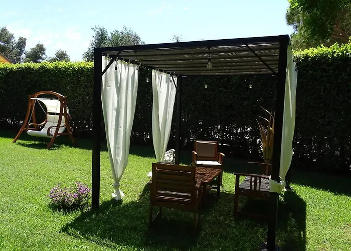 Sole Del Mediterraneo *