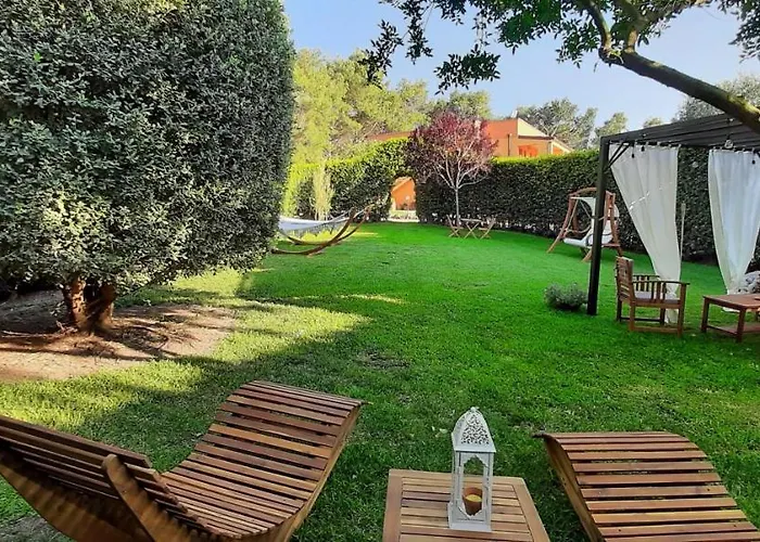 Sole Del Mediterraneo *