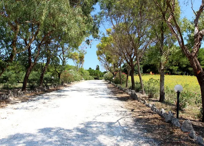 Sole Del Mediterraneo *