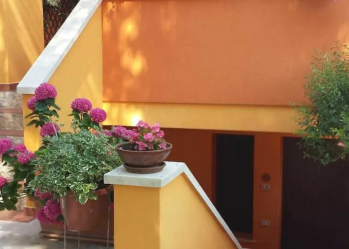 Sole Del Mediterraneo